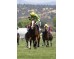  Carrera: P.Bannaby Caballo: Eddy´s Dream Monta: A.Gutiérrez Val